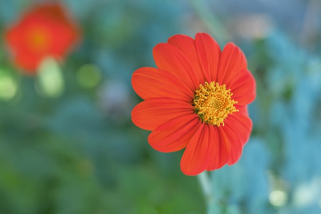 联防线的压 联防线的压