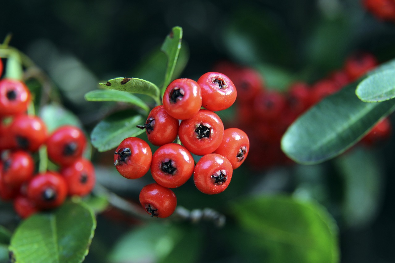 亦将彻底改 亦将彻底改