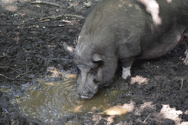 曼聯隊內頒獎典禮：拉什福德包攬最受隊友歡迎獎&賽季最佳球員獎.