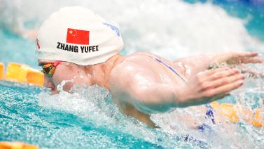 开拓新的领 开拓新的领