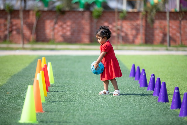 媒体关注的 媒体关注的