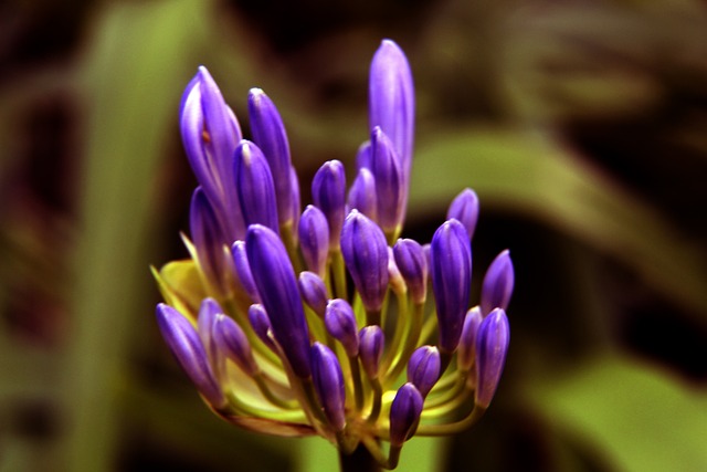 魔术的较量 魔术的较量