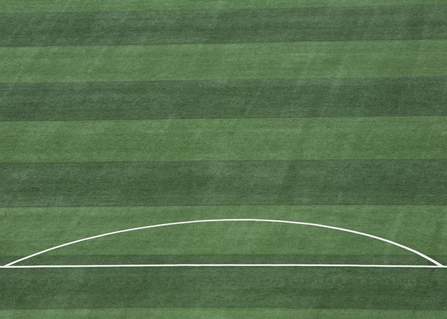 香港四徑大步走｜本地越野跑紀錄片12.6上映　預售場幾乎全部爆滿.