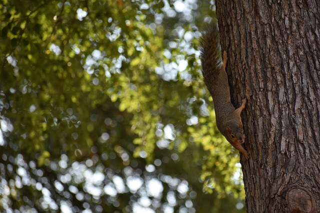 米兰意超杯第八次夺冠追平国米，仅次于尤文.